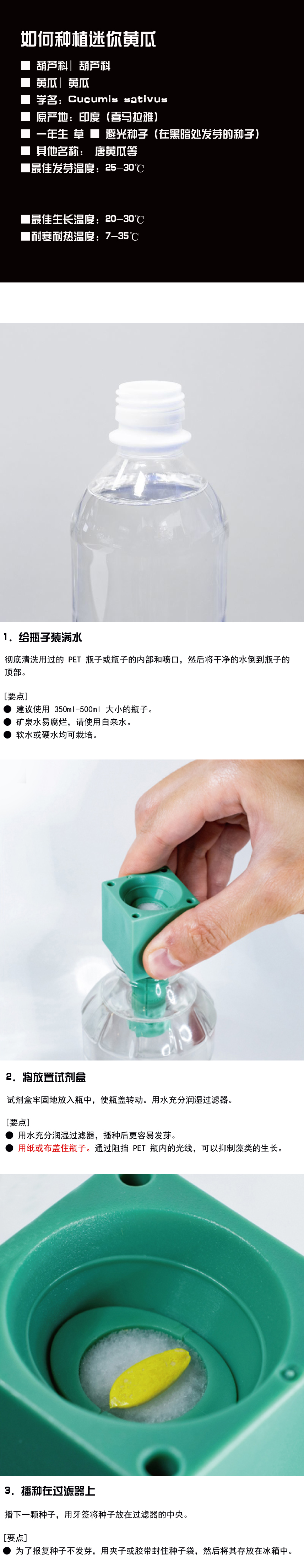 黄瓜种植准备工作